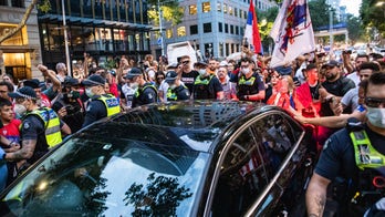 Novak Djokovic supporters pepper-sprayed after tennis pro gets visa reinstated