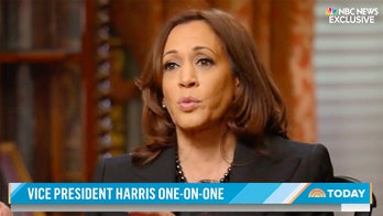 Kamala Harris repeatedly says 'we are doing it' when asked about timeline of promised 500 million COVID tests