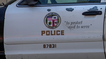 LAPD officers pull pilot from plane seconds before train crash in dramatic video