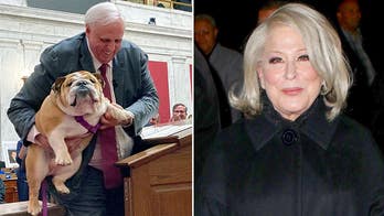 Bette Midler bites back at West Virginia governor after he says she can kiss his dog's 'hiney'