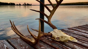 Recently discovered record-breaking deer sat in hunter's garage for decades