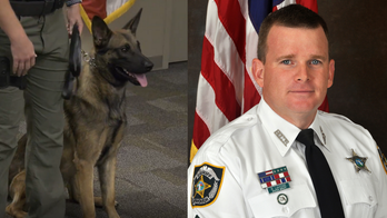 Florida sheriff's office names K9 after sergeant killed in the line of duty