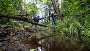 Ancient California redwood forest being returned to native tribal group