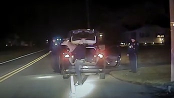 Pennsylvania police find live deer inside car during DUI stop