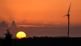 Germany faces 'gigantic task' in achieving climate change goals, new climate minister says