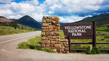 What are the best spots to visit in Yellowstone? Here's how much it costs to enter the oldest national park