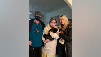 Lost cat lived at rest stop near busy highway for seven months