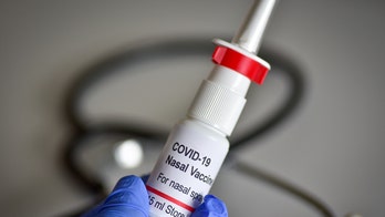 Anti-COVID nasal spray could protect against infection for up to 8 hours: researchers