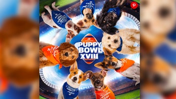 Puppy Bowl back for its 18th year on Super Bowl 2022