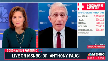 MSNBC host fawns over Fauci as he vows not to leave his job: 'You make us smarter and safer'