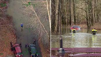 Washington carjacking suspect arrested after crashing stolen vehicle into river during police chase