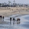 Several California beaches close after sewage spill