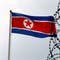 North Korea reports 21 new deaths amid efforts to mitigate COVID-19