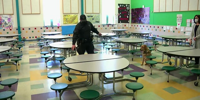 At East Fairhaven Elementary School, K-9 Officer Teddy Santos shows school staff where K9 Duke picked up the odor of COVID.