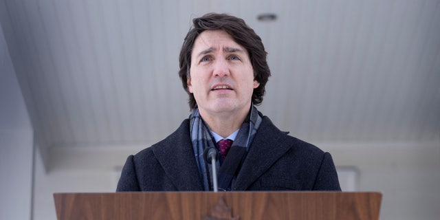 Canada's Prime Minister Justin Trudeau, who said that he had tested positive for coronavirus, speaks during a media availability held at an undisclosed location, near Ottawa, Canada, Jan. 31, 2022.  (Reuters)