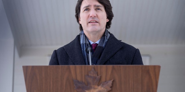 Canada's Prime Minister Justin Trudeau, who said that he had tested positive for coronavirus, speaks during a media availability held at an undisclosed location, near Ottawa, Canada, Jan. 31, 2022. (Reuters)