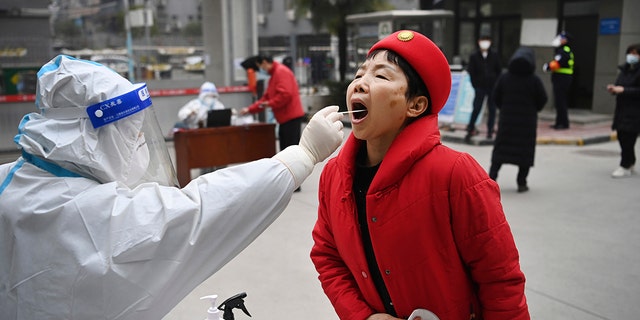 Na tym zdjęciu opublikowanym przez chińską agencję informacyjną Xinhua, pracownik noszący odzież ochronną testuje kobietę pod kątem COVID-19 we wtorek 4 stycznia 2022 r. w ośrodku testowym w Xi'an, w północno-zachodniej prowincji Shaanxi w Chinach.  (Tao Ming / Xinhua przez AP)