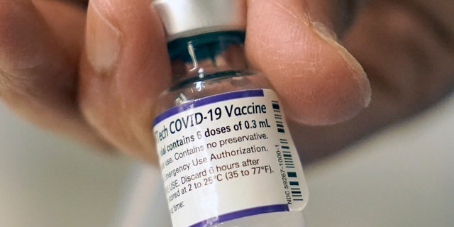 A doctor loads a dose of Pfizer COVID-19 vaccine into a syringe, Thursday, Dec. 2, 2021, at a mobile vaccination clinic in Worcester, Mass. (G3 Box News Photo/Steven Senne, File)