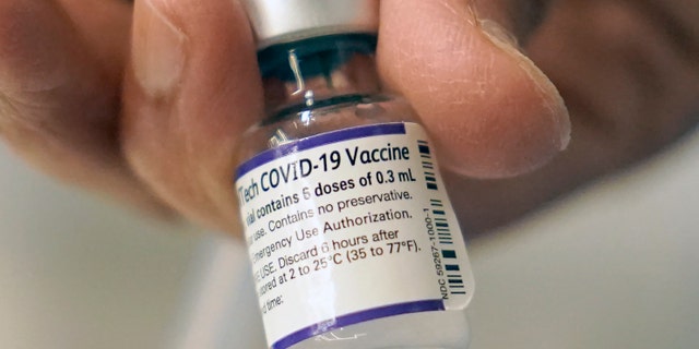 A doctor loads a dose of Pfizer COVID-19 vaccine into a syringe, Thursday, Dec. 2, 2021, at a mobile vaccination clinic in Worcester, Mass. (G3 Box News Photo/Steven Senne, File)
