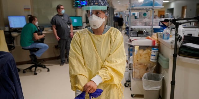 Registered Nurse Morgan Flynn prepares to enter a patient's room in the COVID-19 Intensive Care Unit at Dartmouth-Hitchcock Medical Center, in Lebanon, N.H. (AP Photo/Steven Senne)