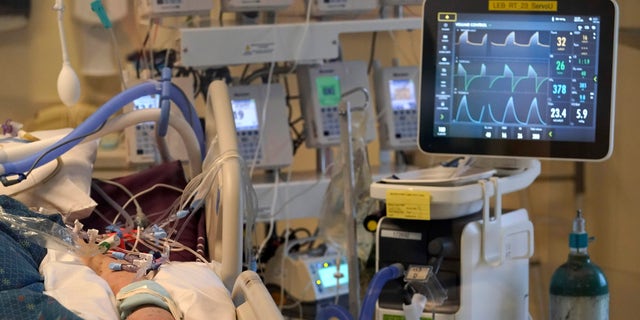 An unidentified COVID-19 patient is attached to life-support systems in the COVID-19 Intensive Care Unit at Dartmouth-Hitchcock Medical Center, in Lebanon, N.H. (AP Photo/Steven Senne)