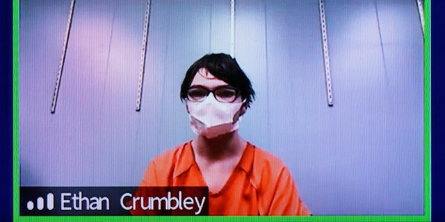 This image from 52-3 District Court shows Ethan Crumbley in a Zoom hearing in Rochester Hills, Mich., Friday, Jan. 7, 2022. (AP Photo/Carlos Osorio)