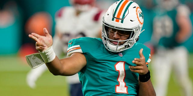 Miami Dolphins quarterback Tua Tagovailoa celebrates after running to gain yardage during the second half of an NFL football game against the New England Patriots, 星期日, 一月. 9, 2022, in Miami Gardens, 佛罗里达.