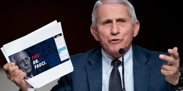Dr. Anthony Fauci, White House chief medical adviser and director of the NIAID, shows a screen grab of a campaign website while answering questions from Sen. Rand Paul, R-Ky., during a Senate Health, Education, Labor, and Pensions Committee hearing to examine the federal response to COVID-19 and new emerging variants on Jan. 11, 2022, at Capitol Hill in Washington. (Photo by GREG NASH/POOL/AFP via Getty Images)