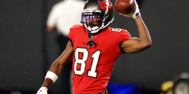 Antonio Brown #81 of the Tampa Bay Buccaneers warms up before the game against the New Orleans Saints at Raymond James Stadium on November 08, 2020 in Tampa, Florida.