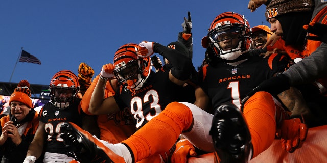 O wide receiver Tyler Boyd (83) do Cincinnati Bengals comemora um passe para touchdown no segundo quarto com os companheiros de equipe Joe Mixon (8) e Jamar Chase (1) contra o Las Vegas Raiders durante um playoff de wild card no Paul Brown Stadium 15 de janeiro , 2022, em Cincinnati.