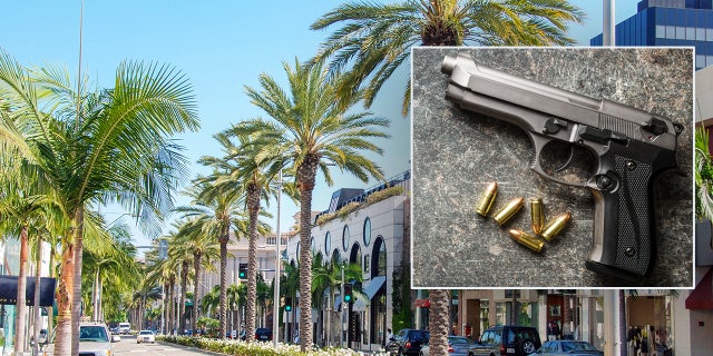 Los Angeles, California, USA - March 2009: Palm trees and flower beds on Rodeo Drive in Beverly Hills in Hollywood