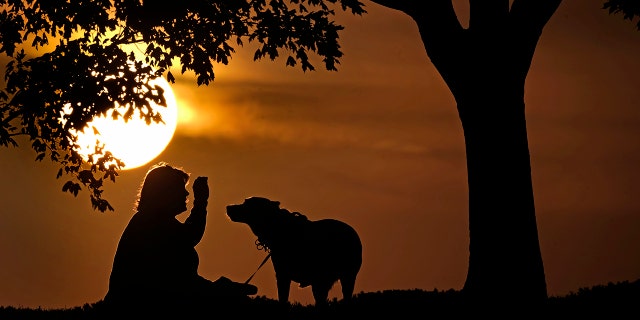 A woman plays with her dog at sunset, Nov. 6, 2021, at a park in Kansas City, Missouri.