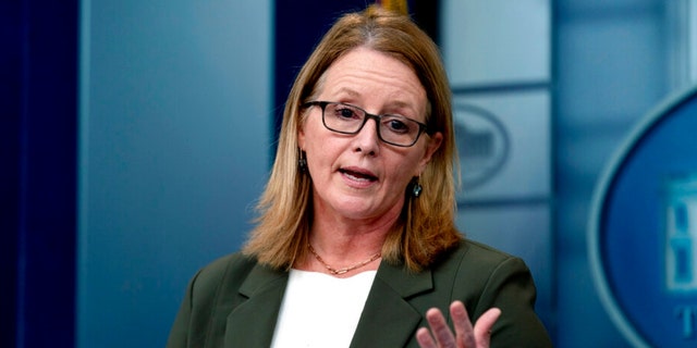 FEMA Administrator Deanne Criswell speaks at a press briefing at the White House in Washington, Friday, Jan. 14, 2022. (AP Photo/Andrew Harnik)