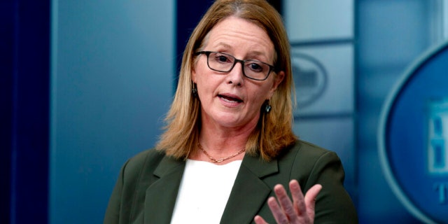 FEMA Administrator Deanne Criswell speaks at a press briefing at the White House in Washington, Friday, Jan. 14, 2022. (AP Photo/Andrew Harnik)