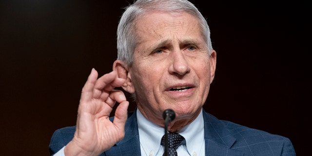 Dr. Anthony Fauci, director of the National Institute of Allergy and Infectious Diseases and chief medical adviser to the president, testifies before a Senate Health, Education, Labor, and Pensions Committee hearing to examine the federal response to COVID-19 and new emerging variants, Tuesday, Jan. 11, 2022 on Capitol Hill in Washington. 