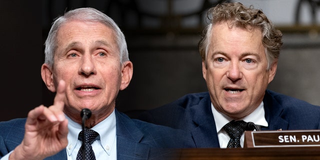 Dr. Anthony Fauci, White House chief medical adviser and director of the NIAID, gives and opening statement during a Senate Health, Education, Labor, and Pensions Committee hearing. At right, Sen. Rand Paul.