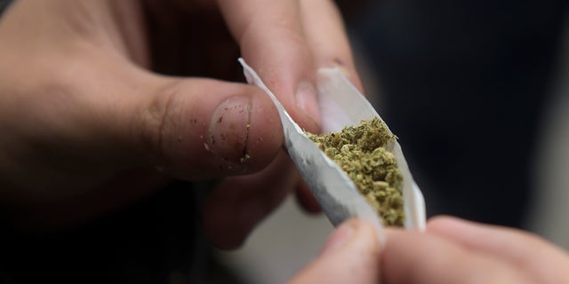 An activist rolls a joint during a protest against the prohibition of bearing a minimum dose of marijuana for personal use, in Bogota on September 6, 2018. - The government is preparing a decree that empowers the police to confiscate small quantities of drugs to consumers. 