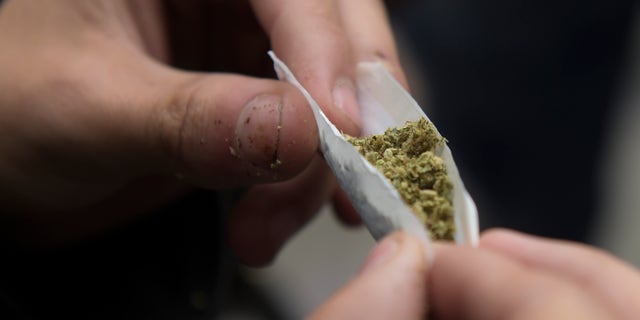 An activist rolls a joint during a protest against the prohibition of bearing a minimum dose of marijuana for personal use, in Bogota on September 6, 2018. - The government is preparing a decree that empowers the police to confiscate small quantities of drugs to consumers. 