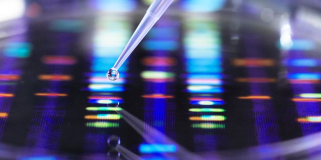 Scientist pipetting a DNA sample into a petri dish with a DNA profile in the background.