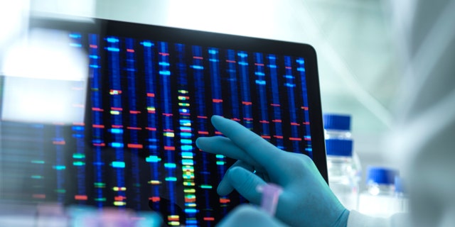 Scientist examining DNA (deoxyribonucleic acid) results on a screen during an experiment in the laboratory.