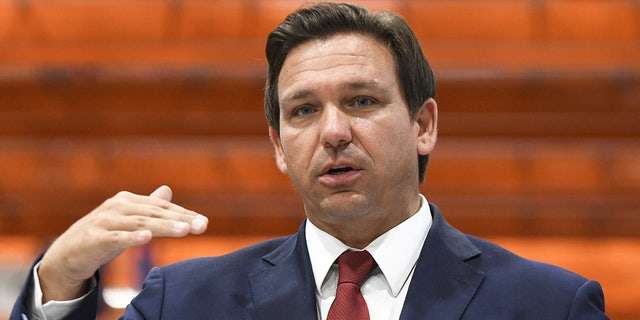 Florida Governor Ron DeSantis speaks during a press conference on May 28, 2021.