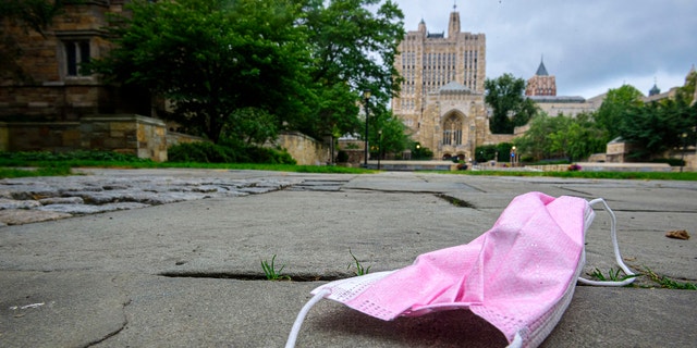 An abandoned mask rests on Yale's Cross Campus in New Haven, Connecticut. (Mark Mirko/Hartford Courant/Tribune News Service via Getty Images)