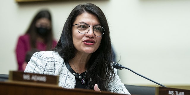 Tlaib in Congress