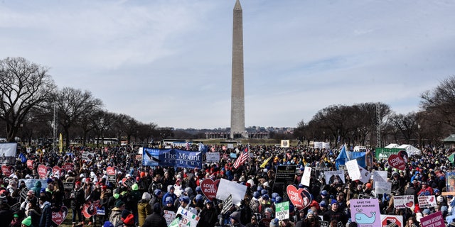 Protesters during the annual March For Life on the National Mall in Washington, DC January 21, 2022. US Supreme Court conservatives suggested they were ready to roll back abortion rights while deliberating a Mississippi case , which could overthrow the landmark Roe of 1973 v.  Wade decision to be decided by the end of June. 