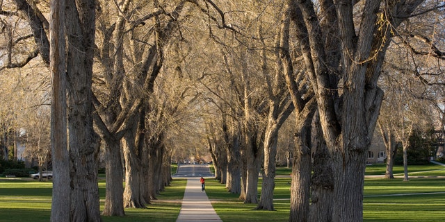 The Oval at Colorado State University campus in early spring. (marekuliasz via Getty Images)