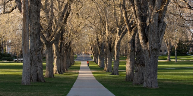 The Oval at Colorado State University campus in early spring. (marekuliasz via Getty Images)