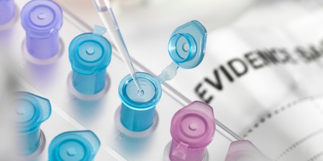 Pipette placing sample into vial for extracting DNA evidence in forensic lab. The kits distributed in Texas schools will allow parents to take, store and control their child’s fingerprints and DNA in their own home, according to the National Child Identification Program website.