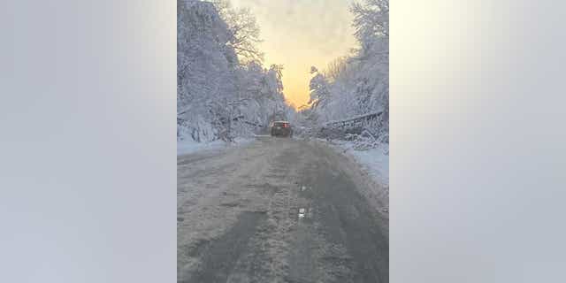 Even Fredericksburg's back roads were covered in snow and downed trees.