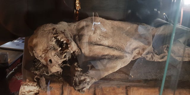 A 500-year-old mummified cat was found in one of the walls, which the owners believe was placed there to ward off witches.
