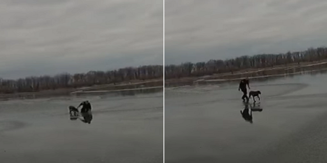 Smith managed to get the dog to safety.